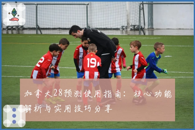 加拿大28预测使用指南：核心功能解析与实用技巧分享