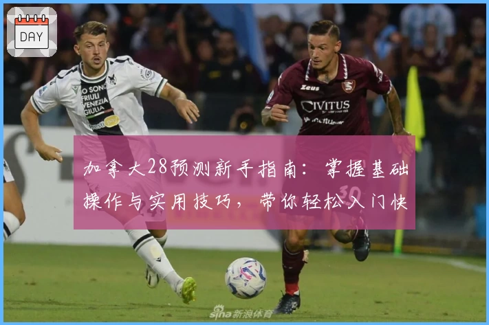 加拿大28预测新手指南：掌握基础操作与实用技巧，带你轻松入门快速上手