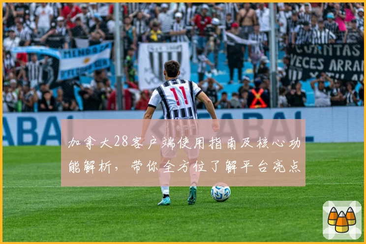 加拿大28客户端使用指南及核心功能解析，带你全方位了解平台亮点与实用技巧