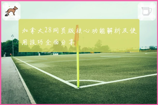 加拿大28网页版核心功能解析及使用技巧全面分享