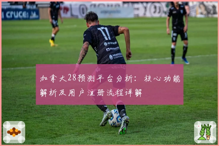 加拿大28预测平台分析：核心功能解析及用户注册流程详解