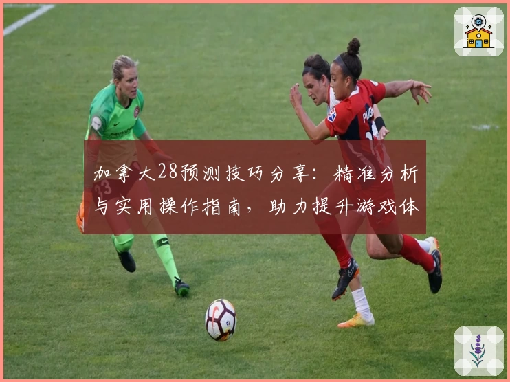 加拿大28预测技巧分享：精准分析与实用操作指南，助力提升游戏体验