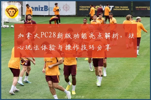 加拿大PC28新版功能亮点解析，核心玩法体验与操作技巧分享