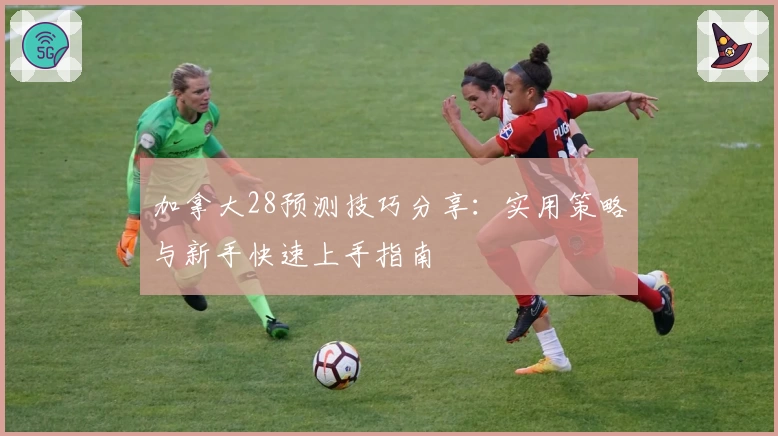 加拿大28预测技巧分享：实用策略与新手快速上手指南