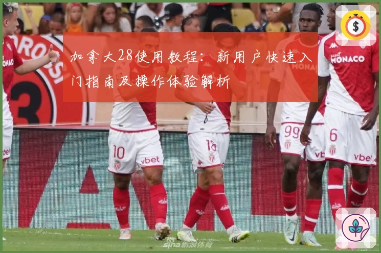 加拿大28使用教程：新用户快速入门指南及操作体验解析