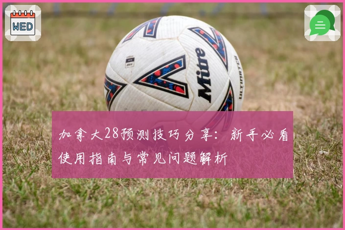 加拿大28预测技巧分享：新手必看使用指南与常见问题解析