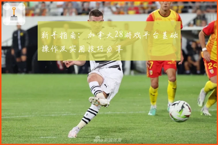 新手指南：加拿大28游戏平台基础操作及实用技巧分享