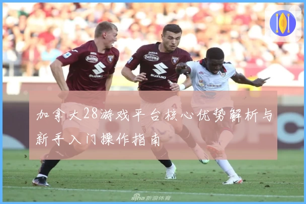 加拿大28游戏平台核心优势解析与新手入门操作指南